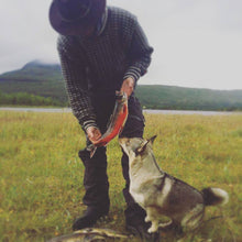 Last inn bildet i Galleri-visningsprogrammet, Fjellfiske og leirliv ved fjellvann