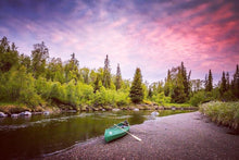 Last inn bildet i Galleri-visningsprogrammet, Beversafari med packrafts og kano