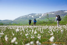 Last inn bildet i Galleri-visningsprogrammet, Fjellfiske og leirliv ved fjellvann