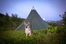 Last inn bildet i Galleri-visningsprogrammet, Villmarks-skole for barn og foreldre