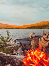 Last inn bildet i Galleri-visningsprogrammet, Fjellfiske og leirliv ved fjellvann