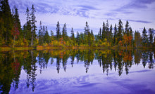 Last inn bildet i Galleri-visningsprogrammet, Villmarks-skole for barn og foreldre