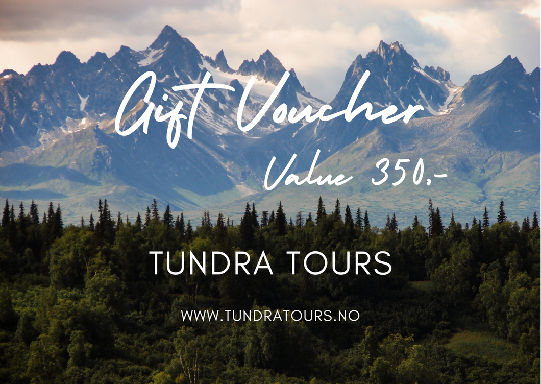 Tundra Tours Gift Card